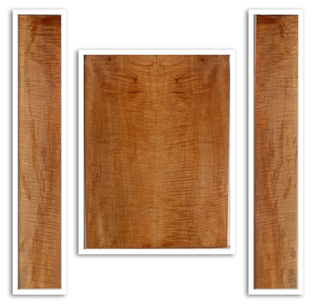 Maple Acoustic Guitar Back and Sides