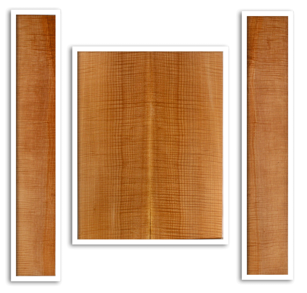 Maple Acoustic Guitar Back and Sides