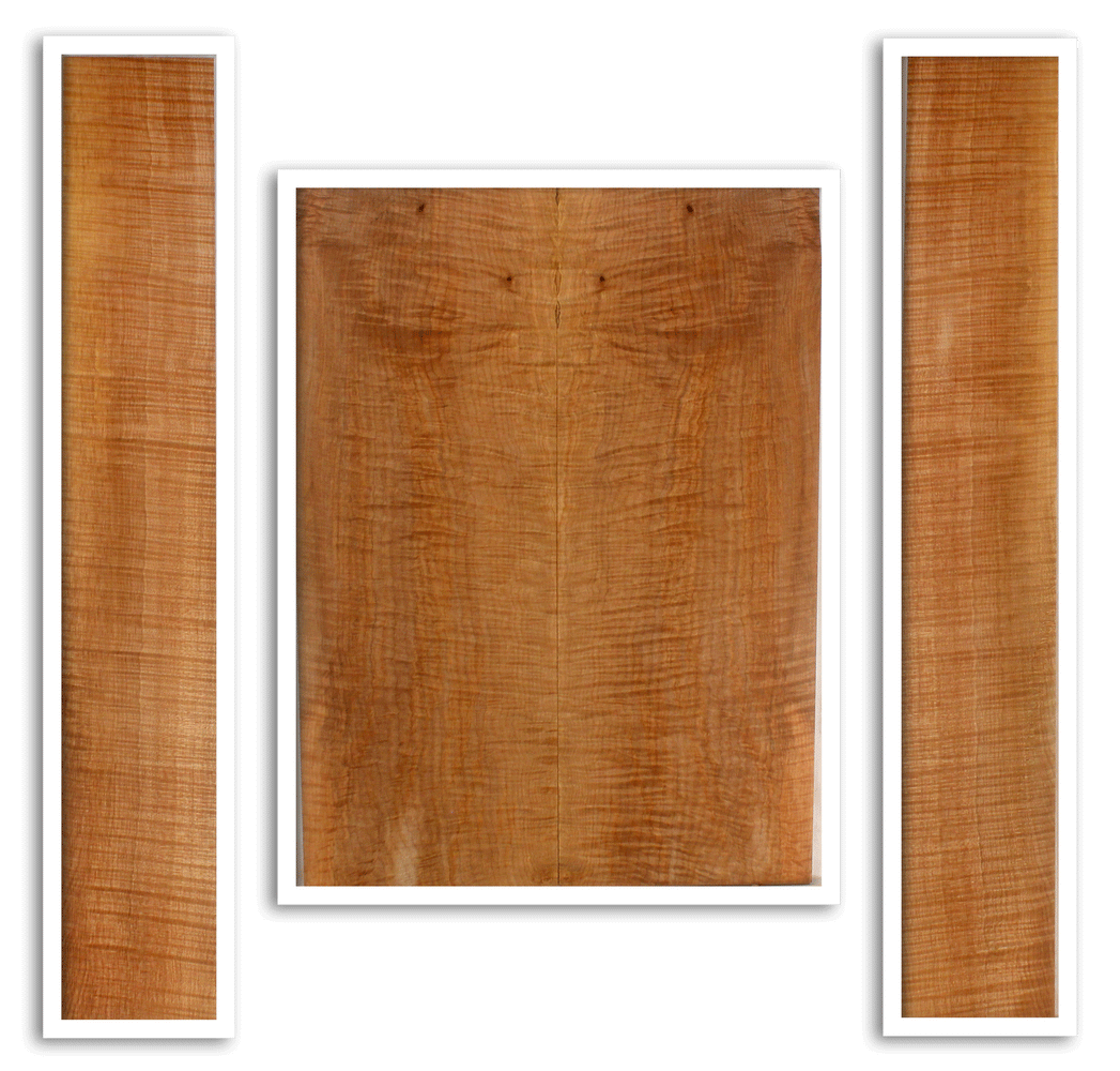 Maple Acoustic Guitar Back and Sides