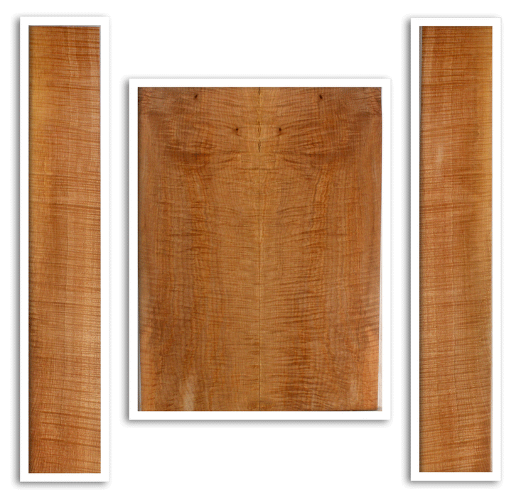 Maple Acoustic Guitar Back and Sides