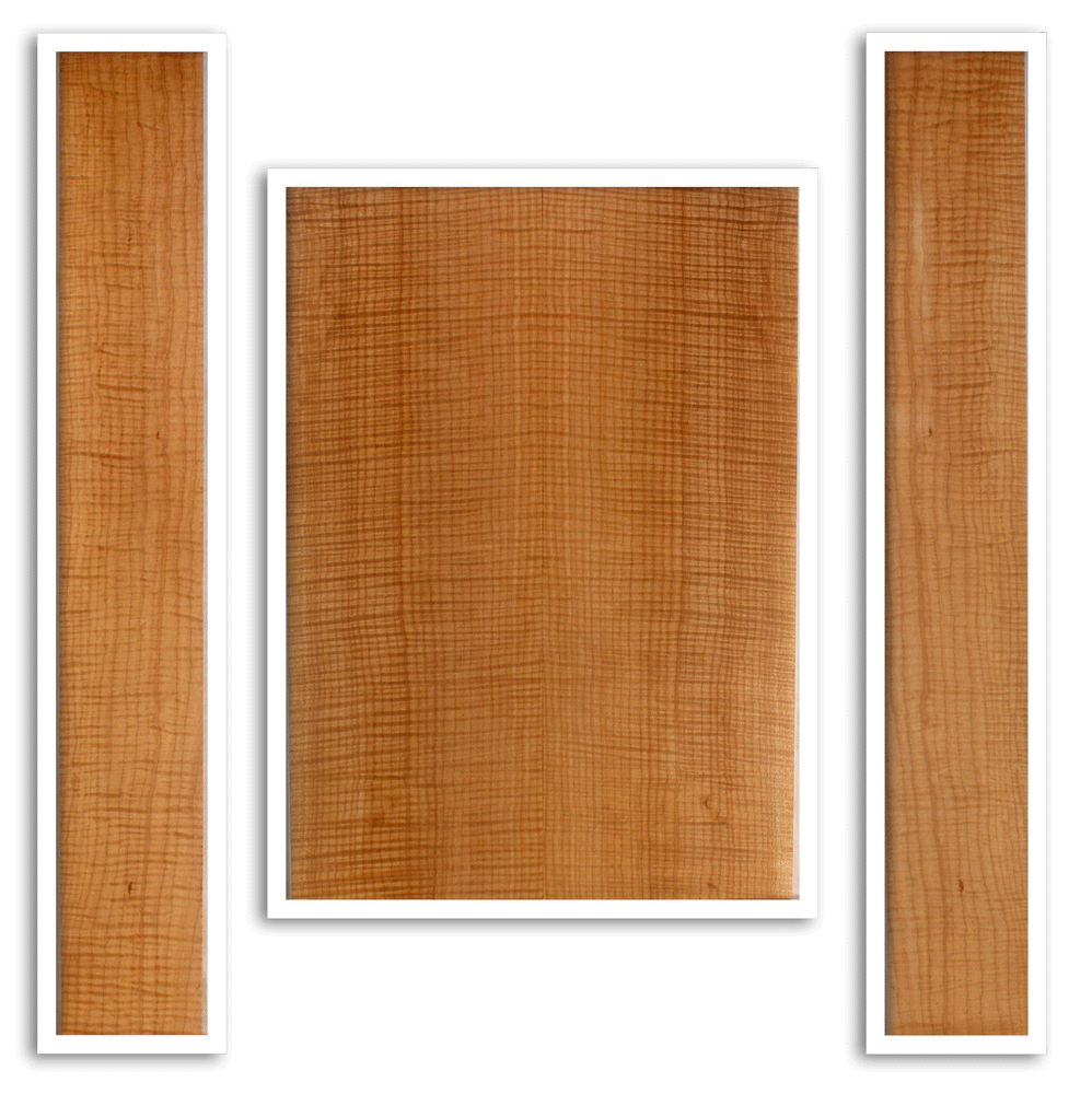 Maple Guitar Back and Sides