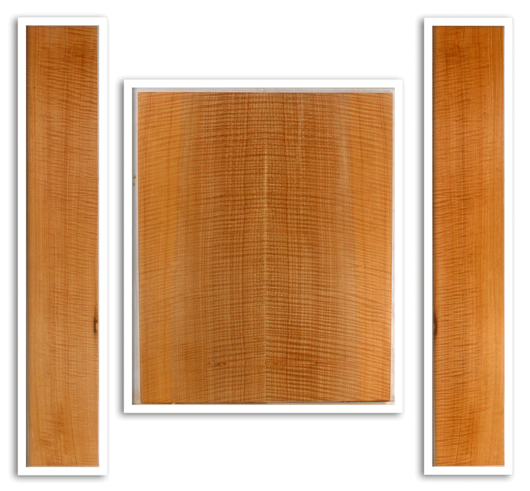 Maple Guitar Back and Sides