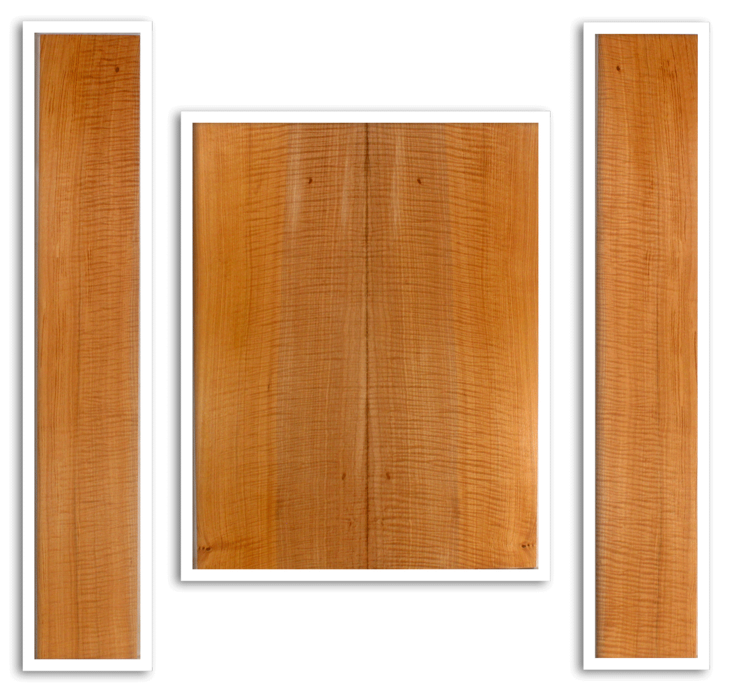 Maple Acoustic Guitar Back and Sides