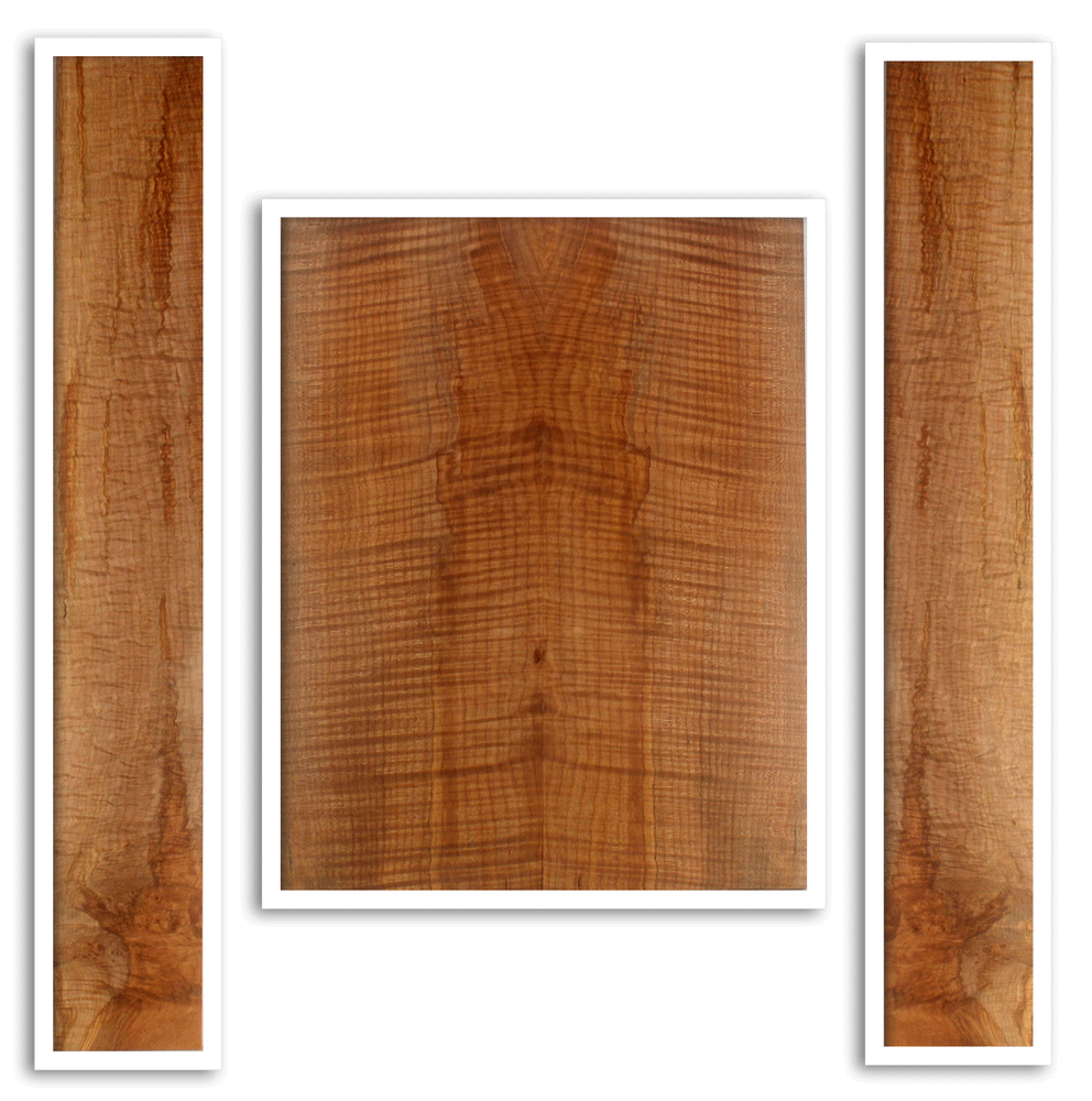 Maple Guitar Back and Sides