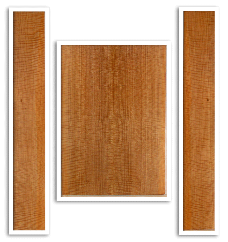 Maple Guitar Back and Sides