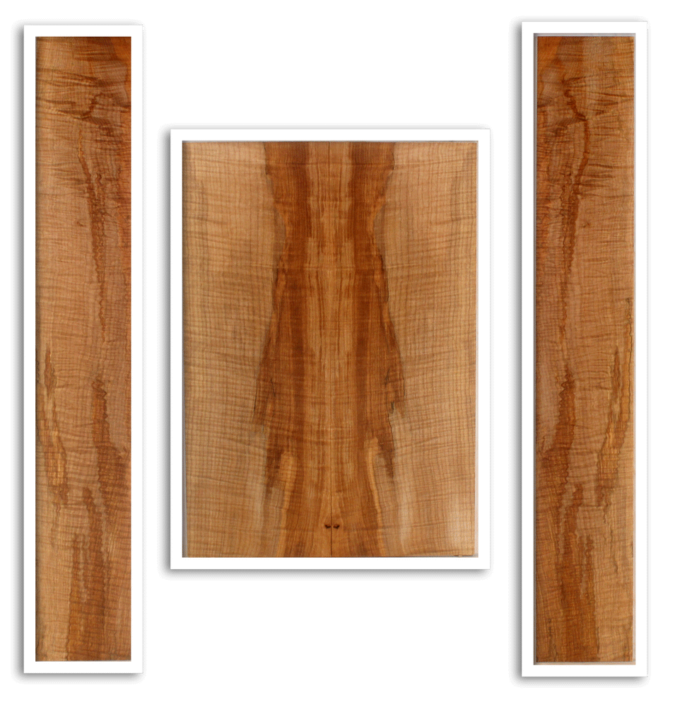 Maple Guitar Back and Sides