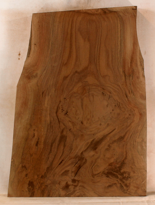 Claro Walnut Electric Solid Body, Excellent Color and Contrast, Orchard Recovery – Eco Friendly (GA21)