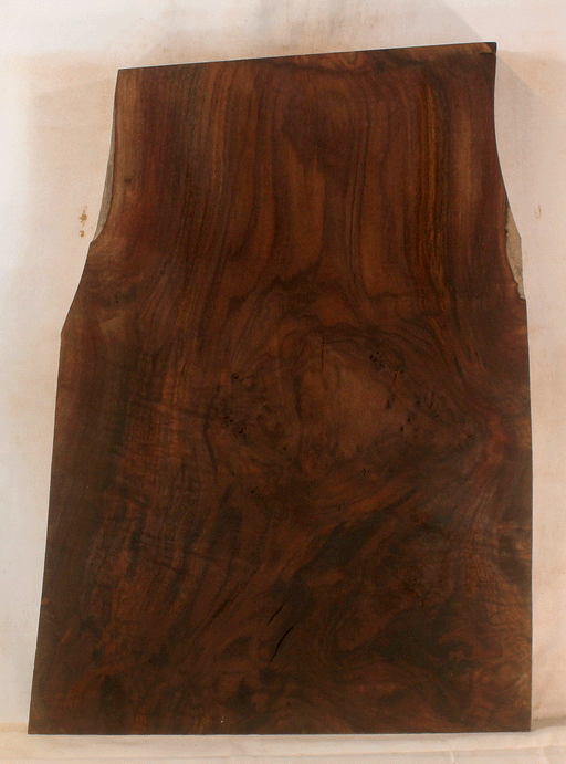 Claro Walnut Electric Solid Body, Excellent Color and Contrast, Orchard Recovery – Eco Friendly (GA21)