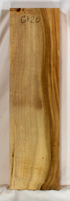 Myrtle Bow Riser (GF20)