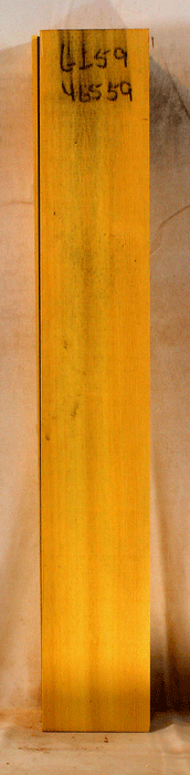 Alaskan Yellow Cedar and Myrtle Three Piece Neck (GI59)