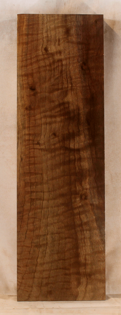 Claro Walnut Long Bow Rier