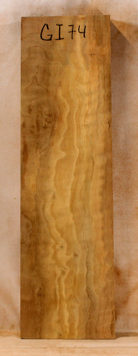 Claro Walnut Bow Riser, Orchard Recovery, Flat Sawn (GI74)