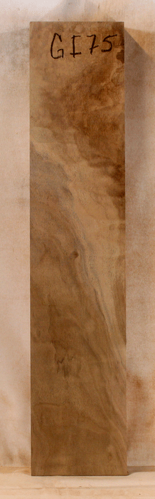 Claro Walnut Bow Riser, Orchard Recovery, Flat Sawn (GI75)