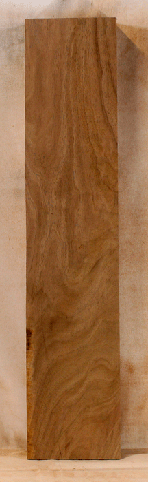 Claro Walnut Bow Riser, Orchard Recovery, Flat Sawn (GI75)