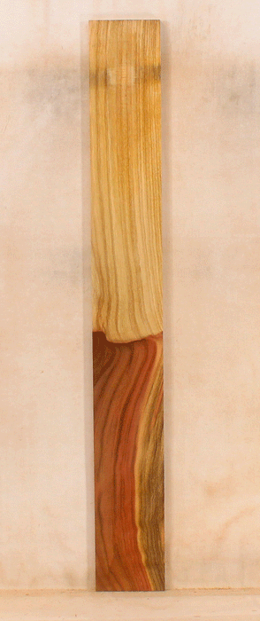 Pistachio Solid Body Fingerboard