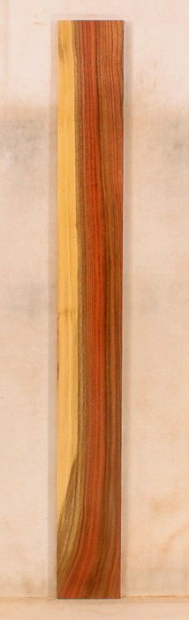 Pistachio Solid Body Fingerboard