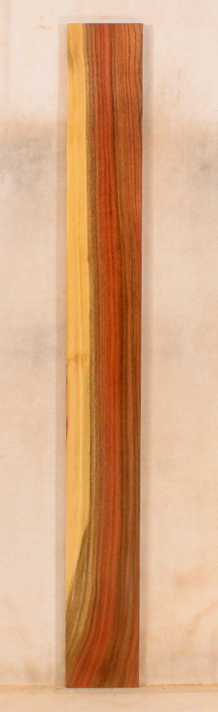 Pistachio Solid Body Fingerboard