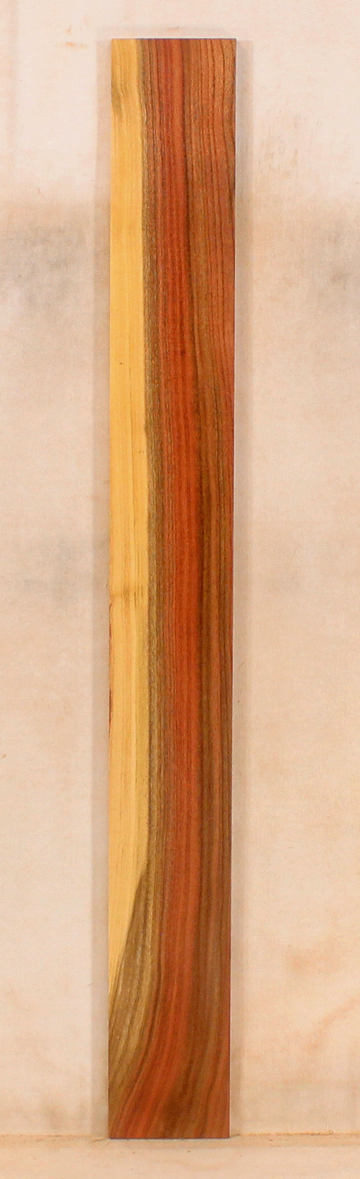 Pistachio Solid Body Fingerboard