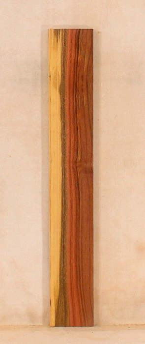 Pistachio Solid Body Fingerboard