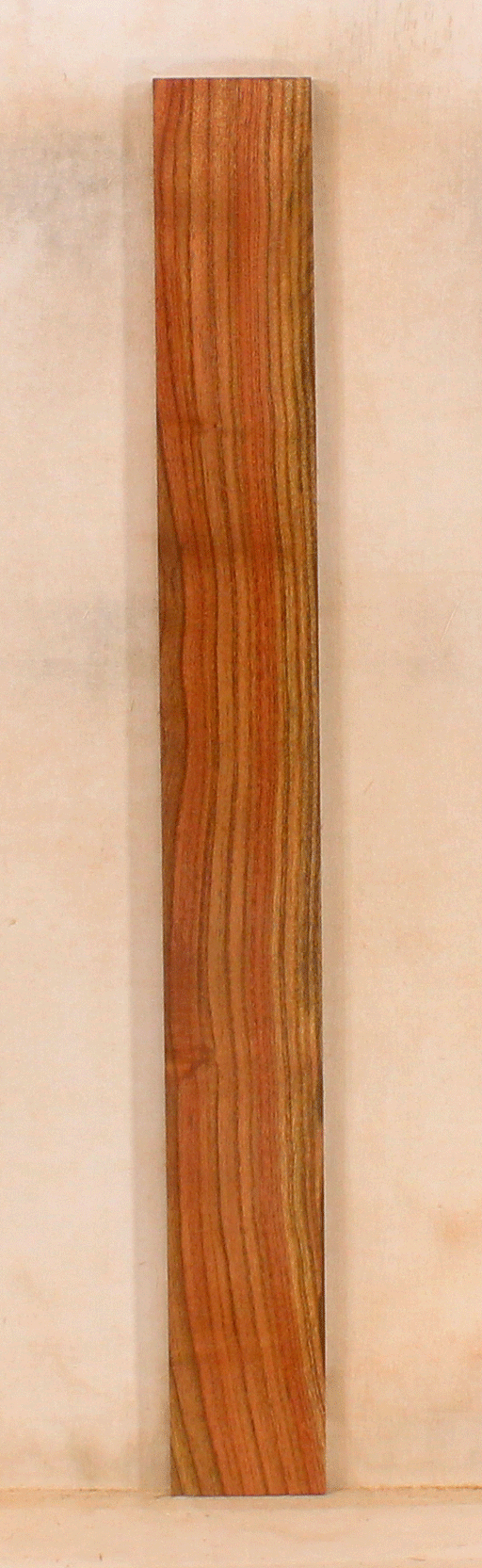 Pistachio Solid Body Fingerboard