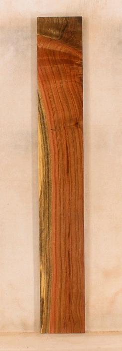 Pistachio Solid Body Fingerboard