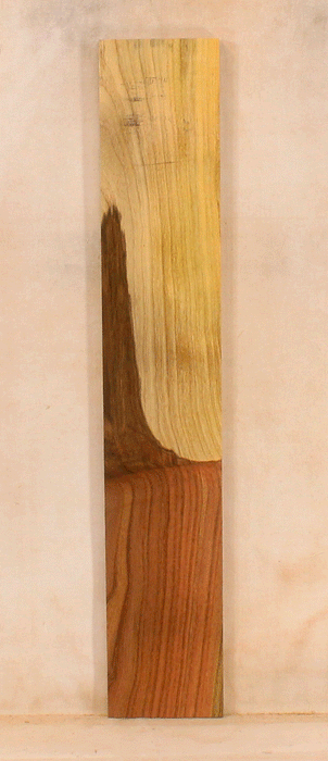 Pistachio Solid Body Fingerboard