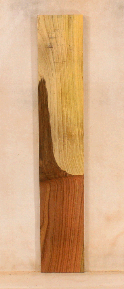 Pistachio Solid Body Fingerboard