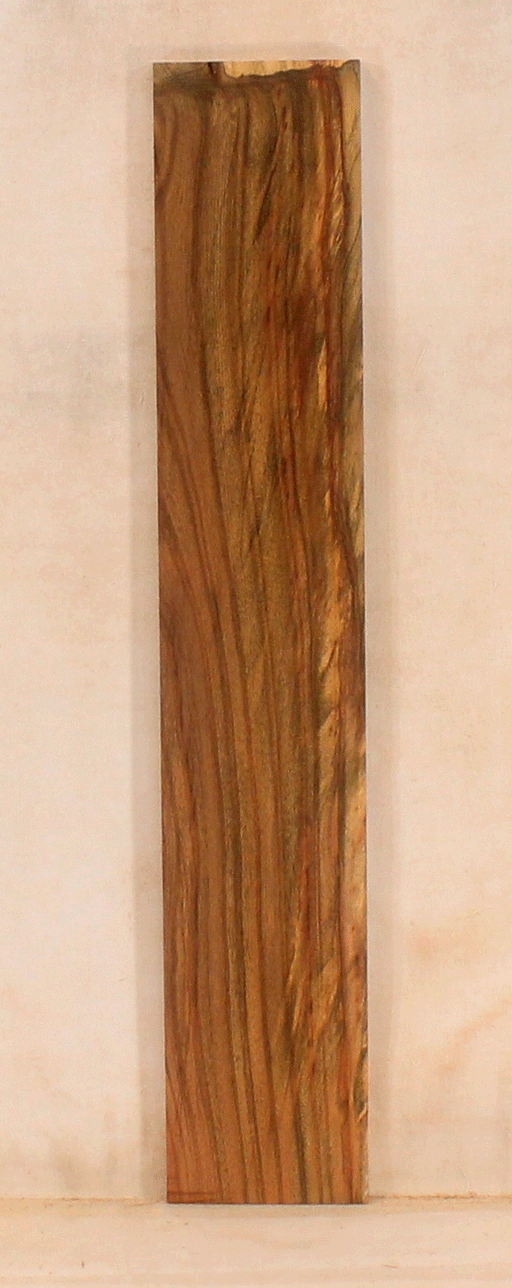 Pistachio Solid Body Fingerboard