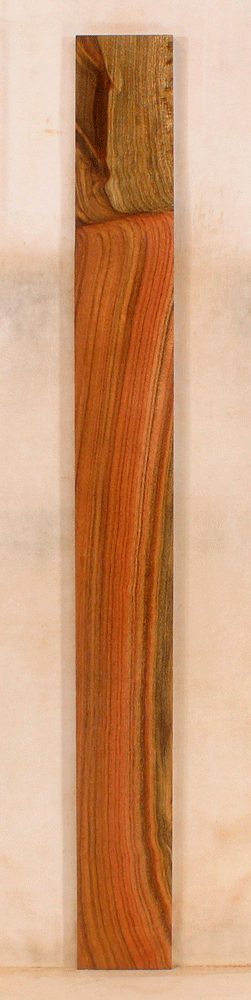 Pistachio Solid Body Fingerboard