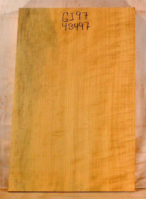 Port Orford Cedar One Piece Solid Body Electric Guitar Body, Light Figure, Eco-friendly (GJ97)