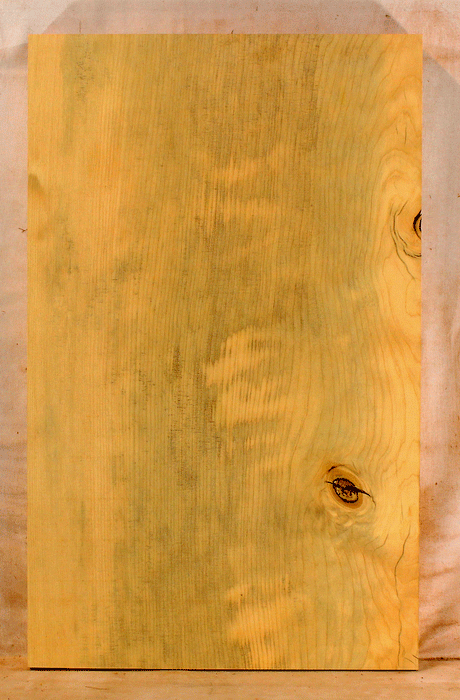 Port Orford Cedar One Piece Solid Body Electric Guitar Body, Light Figure, Eco-friendly (GJ99)