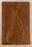 Claro Walnut Electric Solid Body One Piece Body, Excellent Color and Contrast, Orchard Recovery – Eco Friendly (GK03)