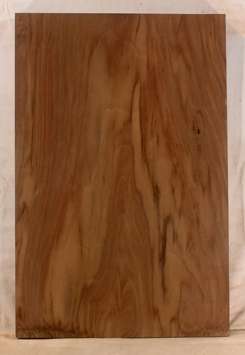 Claro Walnut Electric Solid Body One Piece Body, Excellent Color and Contrast, Orchard Recovery – Eco Friendly (GK03)