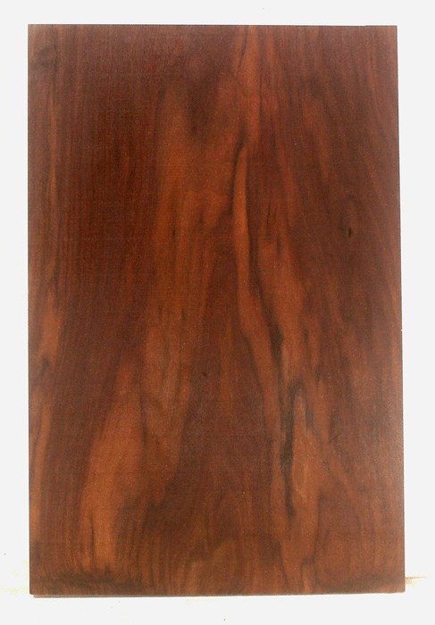 Claro Walnut Electric Guitar One Piece Body