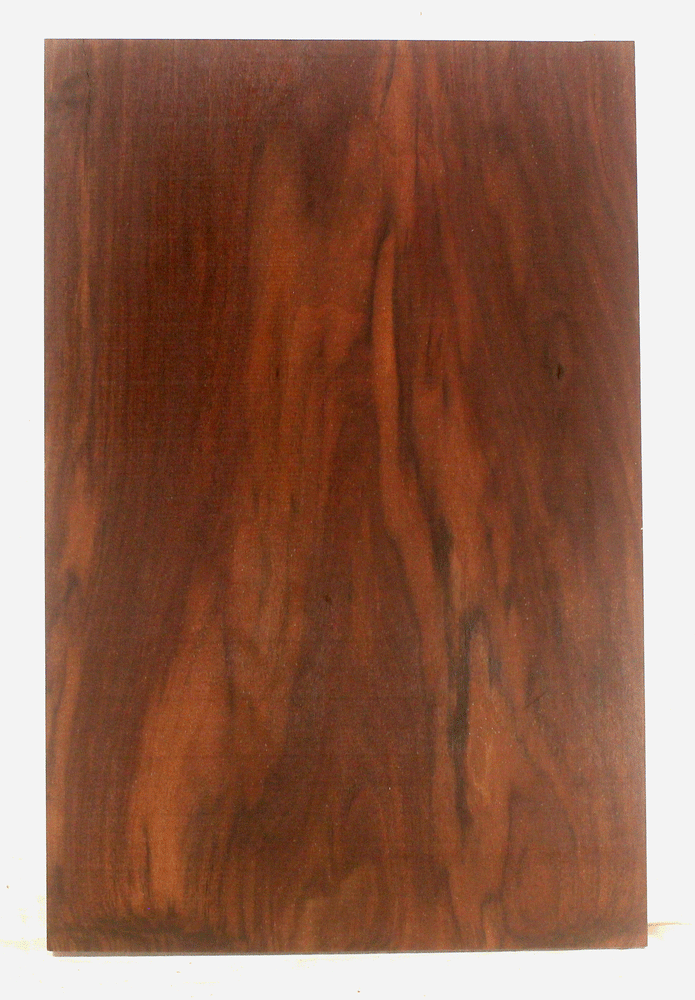 Claro Walnut Electric Guitar One Piece Body
