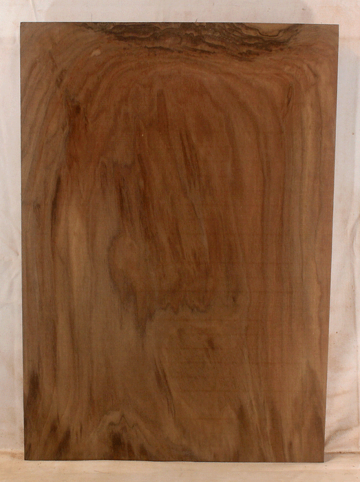 Claro Walnut Electric Solid Body One Piece Body, Excellent Color and Contrast, Orchard Recovery – Eco Friendly (GK06)