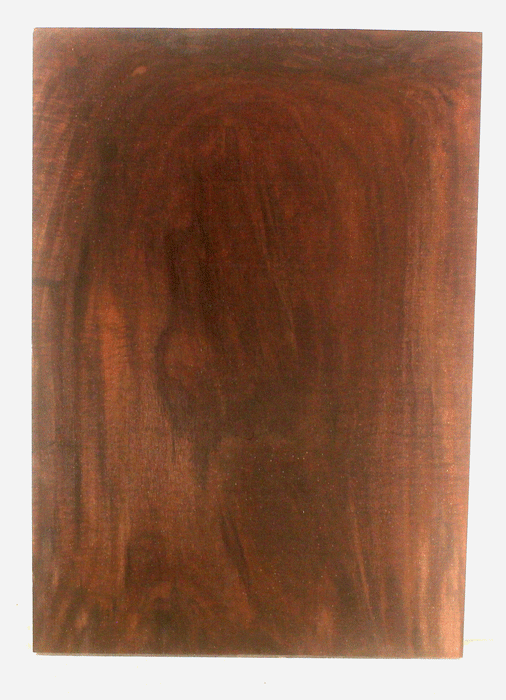 Claro Walnut Electric Guitar One Piece Body