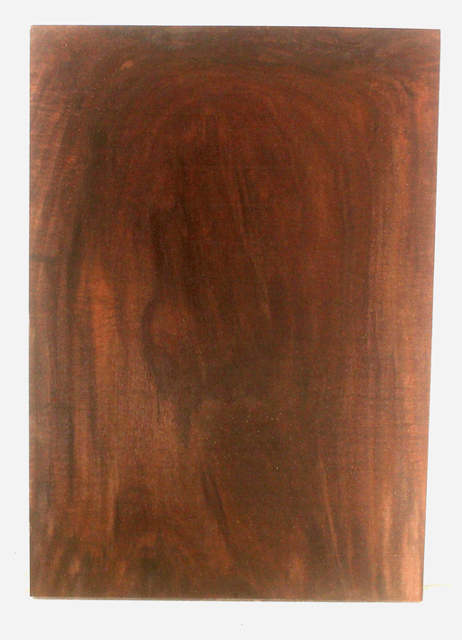 Claro Walnut Electric Guitar One Piece Body