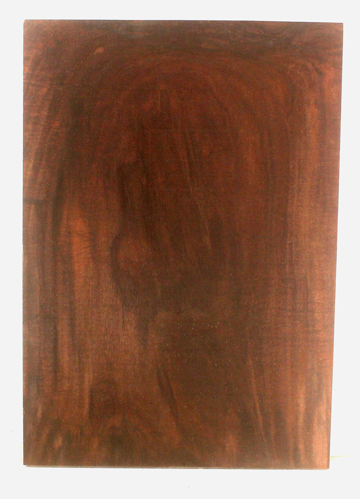 Claro Walnut Electric Guitar One Piece Body