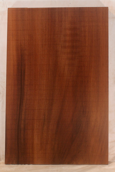 Redwood Electric Guitar One Piece Body