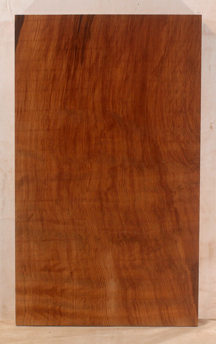 Redwood Solidbody One Piece Body