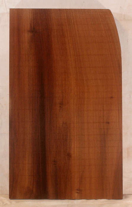 Redwood Electric Guitar One Piece Body