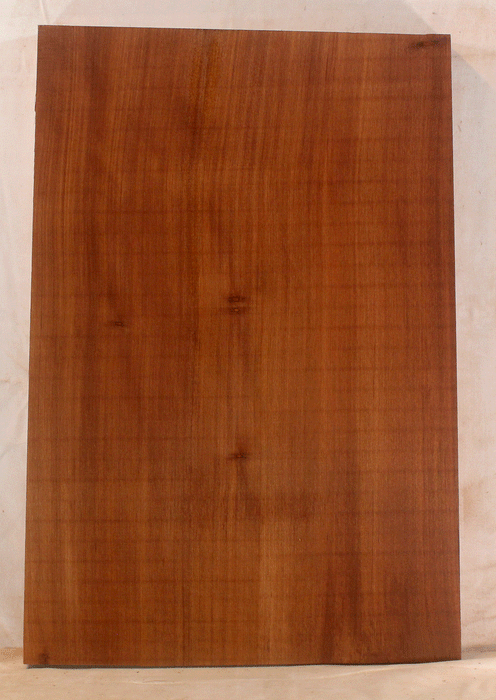 Redwood One Piece Electric Guitar Body