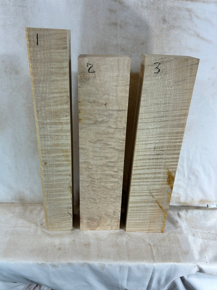 Maple Neck for James Larson #3