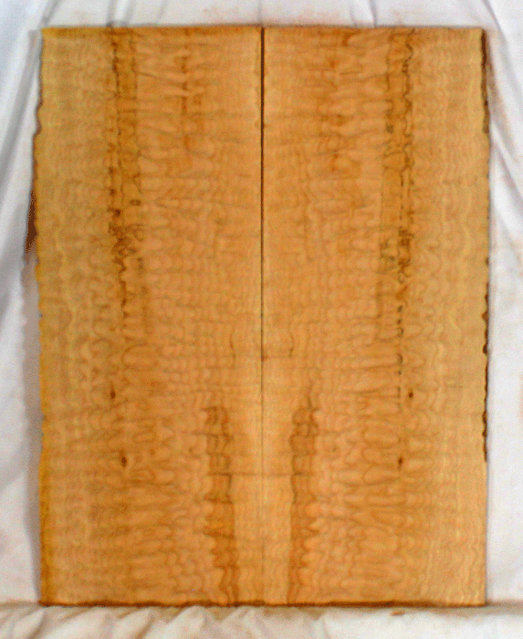 Quilted Maple Solid Body Guitar Top (KC95)