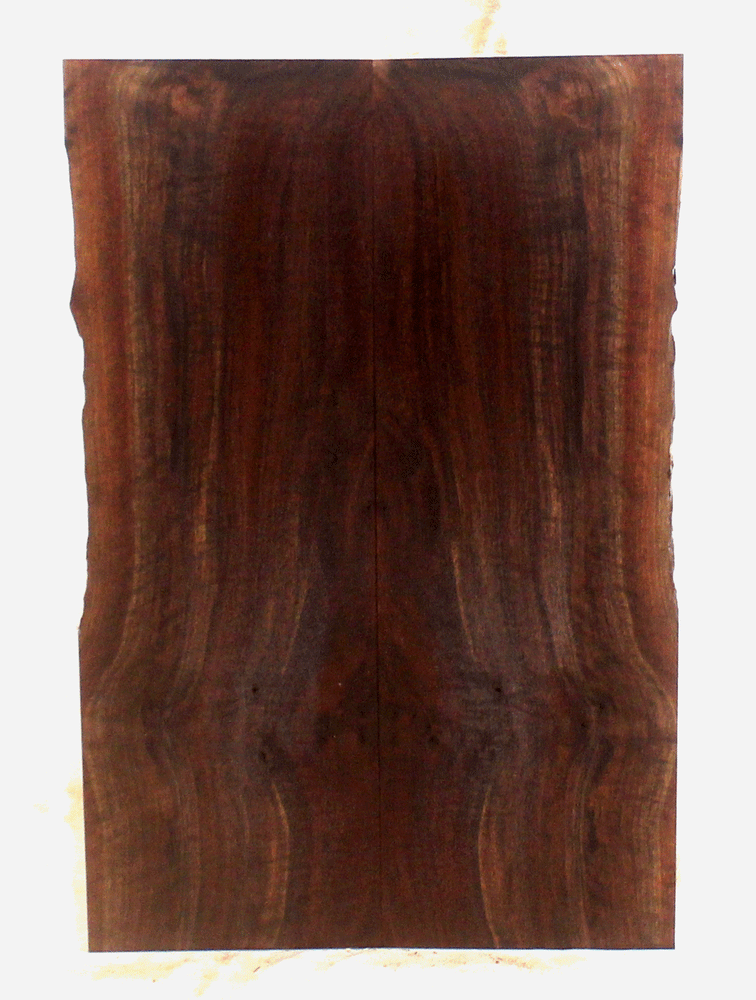 Claro Walnut Droptop