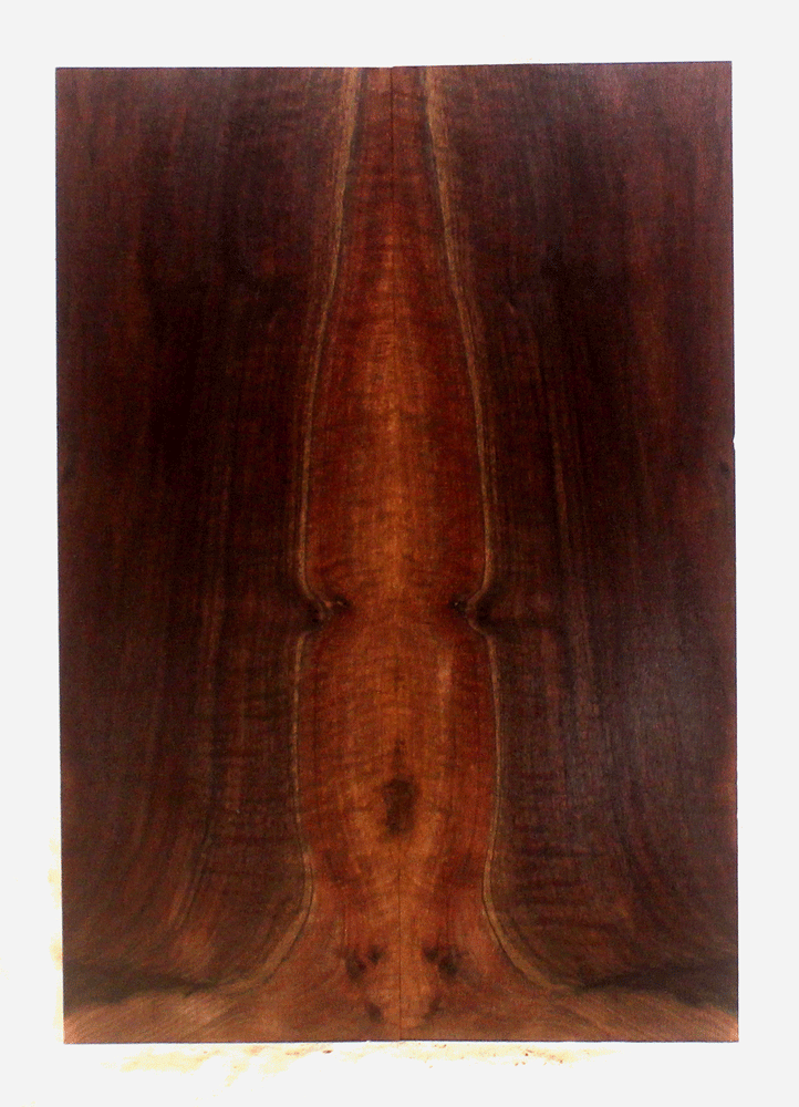 Claro Walnut Guitar Droptop