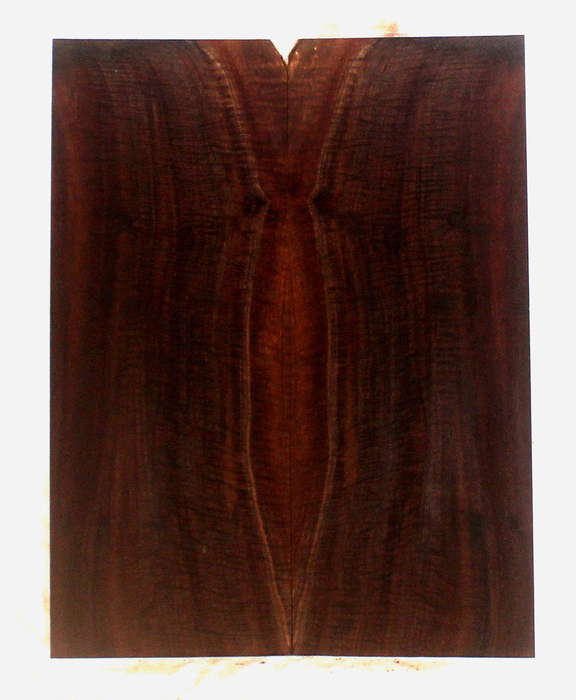 Claro Walnut Guitar Droptop