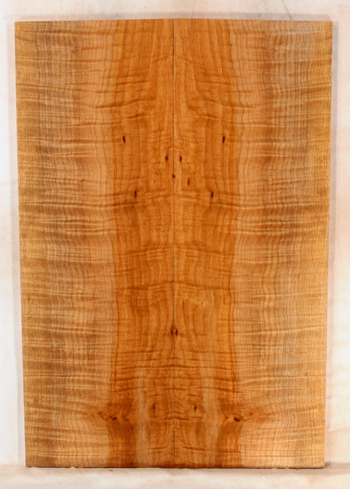 Maple Electric Guitar Drop Top
