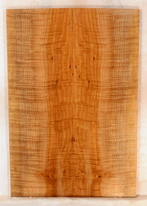 Maple Electric Guitar Drop Top